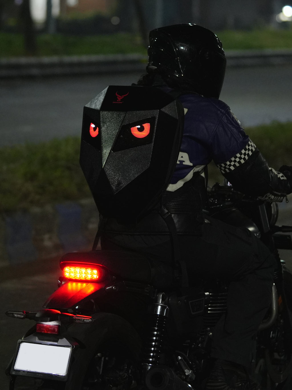 Erebus Riding Backpack