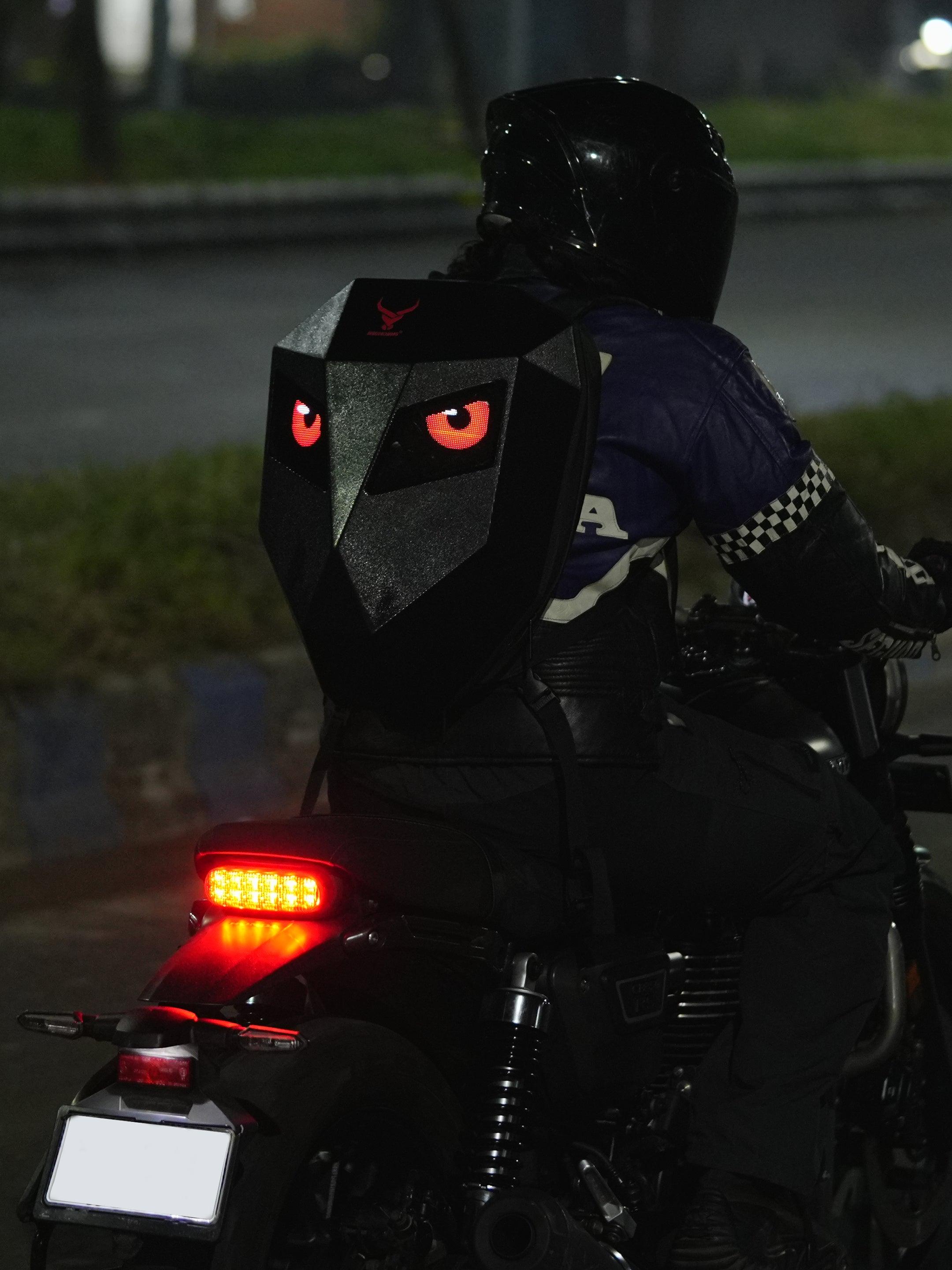Erebus Riding Backpack