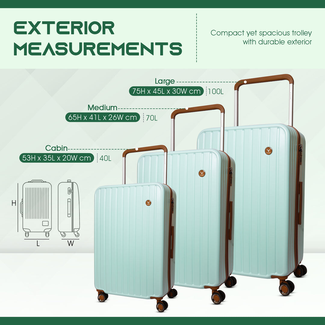 Polycarbonate Trolley Bag Set Of 3