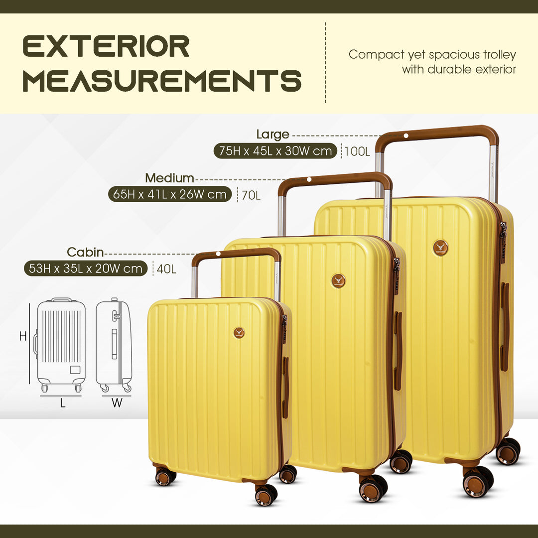 Polycarbonate Trolley Bag Set Of 3